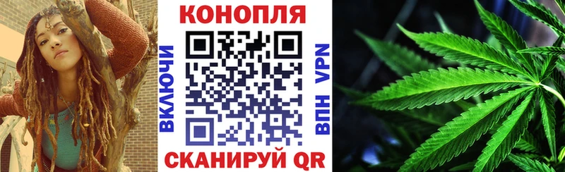 Бошки Шишки семена Купить закладки Можга